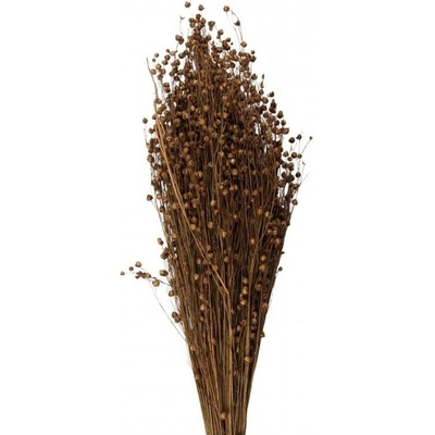 Sušené květy béžové 60 cm (100 gr) – 60 cm