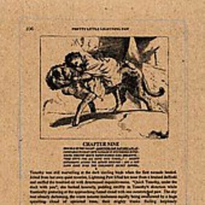 A Silver Mt. Zion - Pretty Little Lightning Paw LP