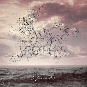 Warner Von Hertzen Brothers: In Murmuration - CD (077702)