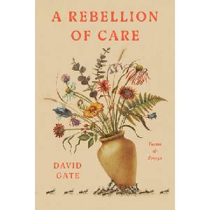 A Rebellion of Care | GATE DAVID (ISBN: 9780593602171)