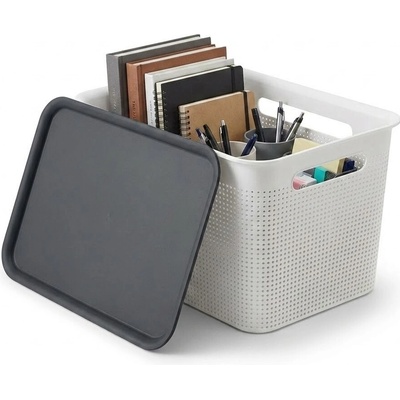 Rotho úložný box s vekom a s držadlami BRISEN 16 l, 36x26,2x21cm, biely