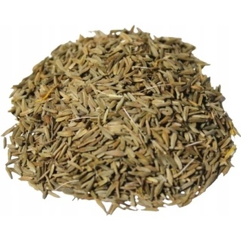 Semena Pampelisky
