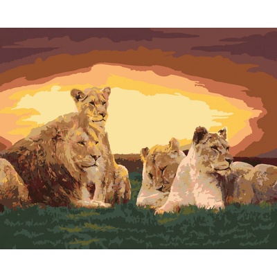 Zuty Malování podle čísel Lví rodina 80 x 100 cm vypnuté plátno na rám