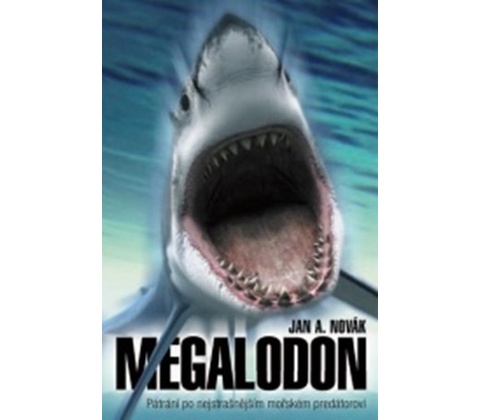Megalodon