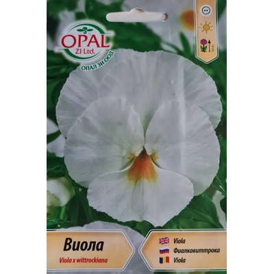 Opal Zi Виола Бяла Viola x wittrockiana