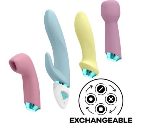 Satisfyer Fabulous Four
