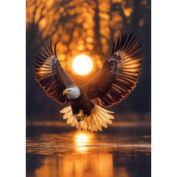 Art Puzzle - Puzzle Wings of the Sun - 1 000 piese