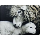 Mars & More 4 ks pevné korkové prestieranie Ovce 30x40x0,4 cm