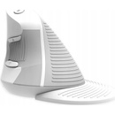 DeLUX M618GDB