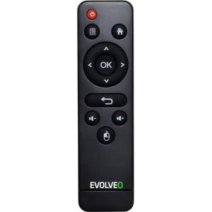 GENERAL EVOLVEO MultiMedia Stick Y2, ANDSTK-Y2 - дистанционно управление дубликат (MultiMedia Stick Y2, ANDSTK-Y2) Дистанционно