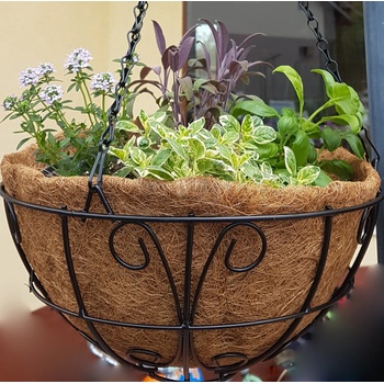 Image 1 of Висяща кашпа (Ковано желязо с кокос) ф30