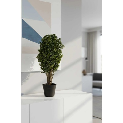Umelý buxus BUXA, plast, výška 70 cm, zelený