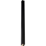 Amplex Doha 1704