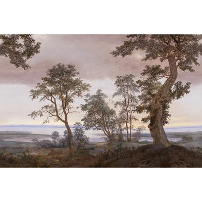 Eijffinger 351291 Vliesová tapeta na zeď Magnifique, rozměry 3 x 2,8 m