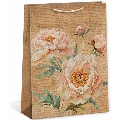 ARGUS Dárková papírová taška T8N (31 x 41.5 cm) 07840141