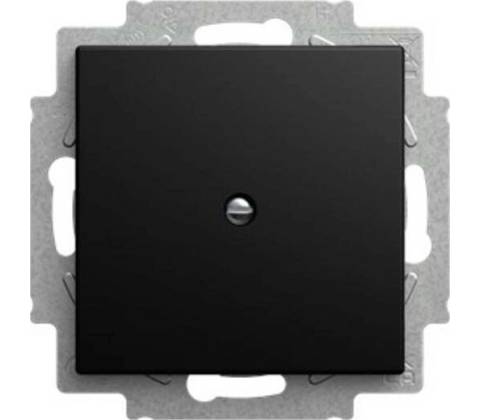 Busch-Jaeger 2CKA001715A0321