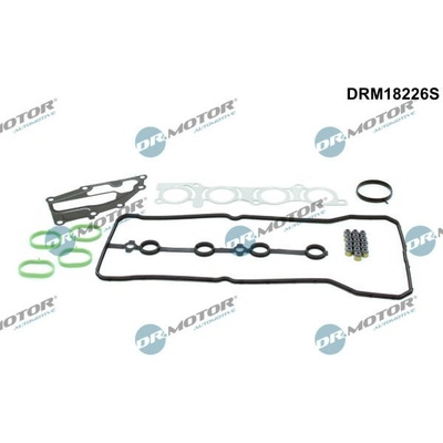 Sada těsnění, hlava válce Dr.Motor Automotive DRM18226S