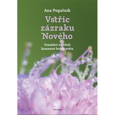 Vstříc zázraku nového - Ana Pogačnik