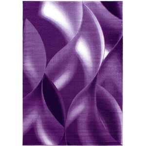 Ayyildiz Лилав килим 120x170 cm Plus - Ayyildiz Carpets (PLUS1201708008LILA)