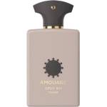 Amouage Opus XVI - Timber EDP 100 ml Парфюми