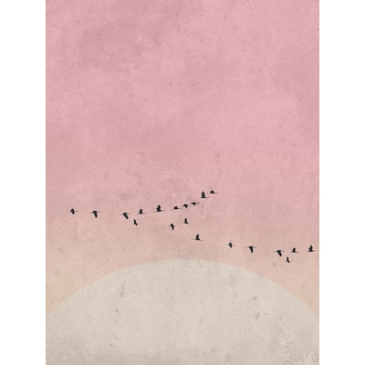 Plagát, Obraz - moonbird5, Finlay & Noa, 30 × 40 cm