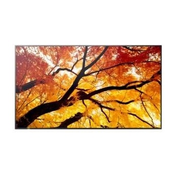 NEC MultiSync M752 60006057