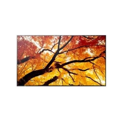 NEC MultiSync M752 60006057