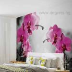  Фототапет Орхидеи циклама 1 l 1