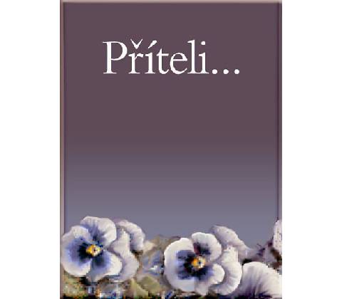 Příteli