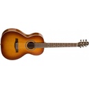 Seagull Entourage Rustic
