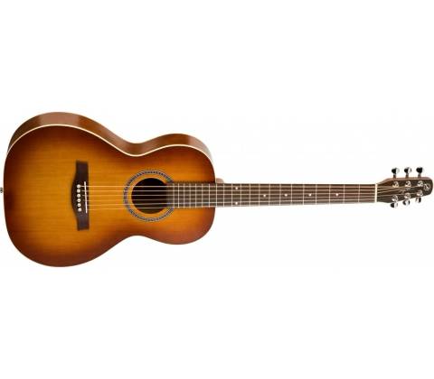 Seagull Entourage Rustic