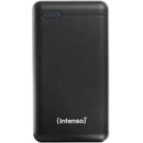 Intenso 7313550