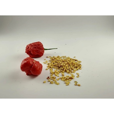 Trinidad Scorpion Red semínka 10 ks