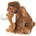Mamut