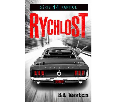 Rychlost
