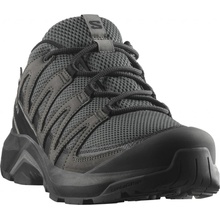 Salomon X Adventure Recon Gtx M L47809200 asphalt castlerock black