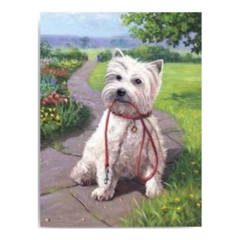 Malování podle čísel Pejsek bílý