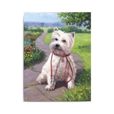 Malování podle čísel Pejsek bílý