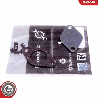 Súprava na opravu, ventil AGR ESEN SKV 14SKV542 14SKV542