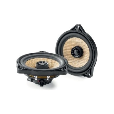 Focal IC T3Y 100 (IC T3Y 100)