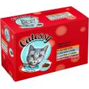 Krmivo pro kočky Catessy kousky v omáčce 12 x 100 g