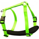 B & F Postroj popruh NEON
