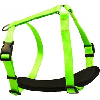 B & F Postroj popruh NEON