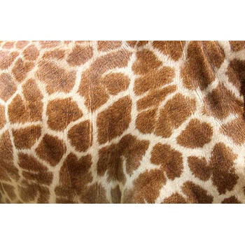 DIMEX ART s. r. o Флизелинов фототапет жирафова кожа 375 x 250 см