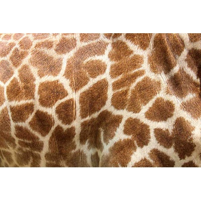 DIMEX ART Флизелинов фототапет жирафова кожа 375 x 250 см
