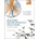 Building Bioinformatics Solutions