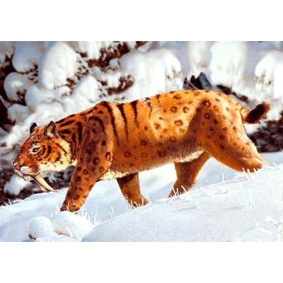 (B) 3D pohľadnica Šabľozubý tiger