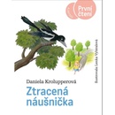 Ztracená náušnička