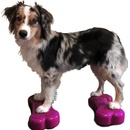 Výcvik psa FitPaws balanční kost Mini 29 x 16,5 x 6 cm 2 ks