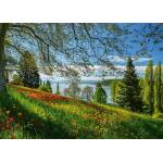 Schmidt Spiele - Puzzle Tulips Field - Mainau Island - 1 000 piese